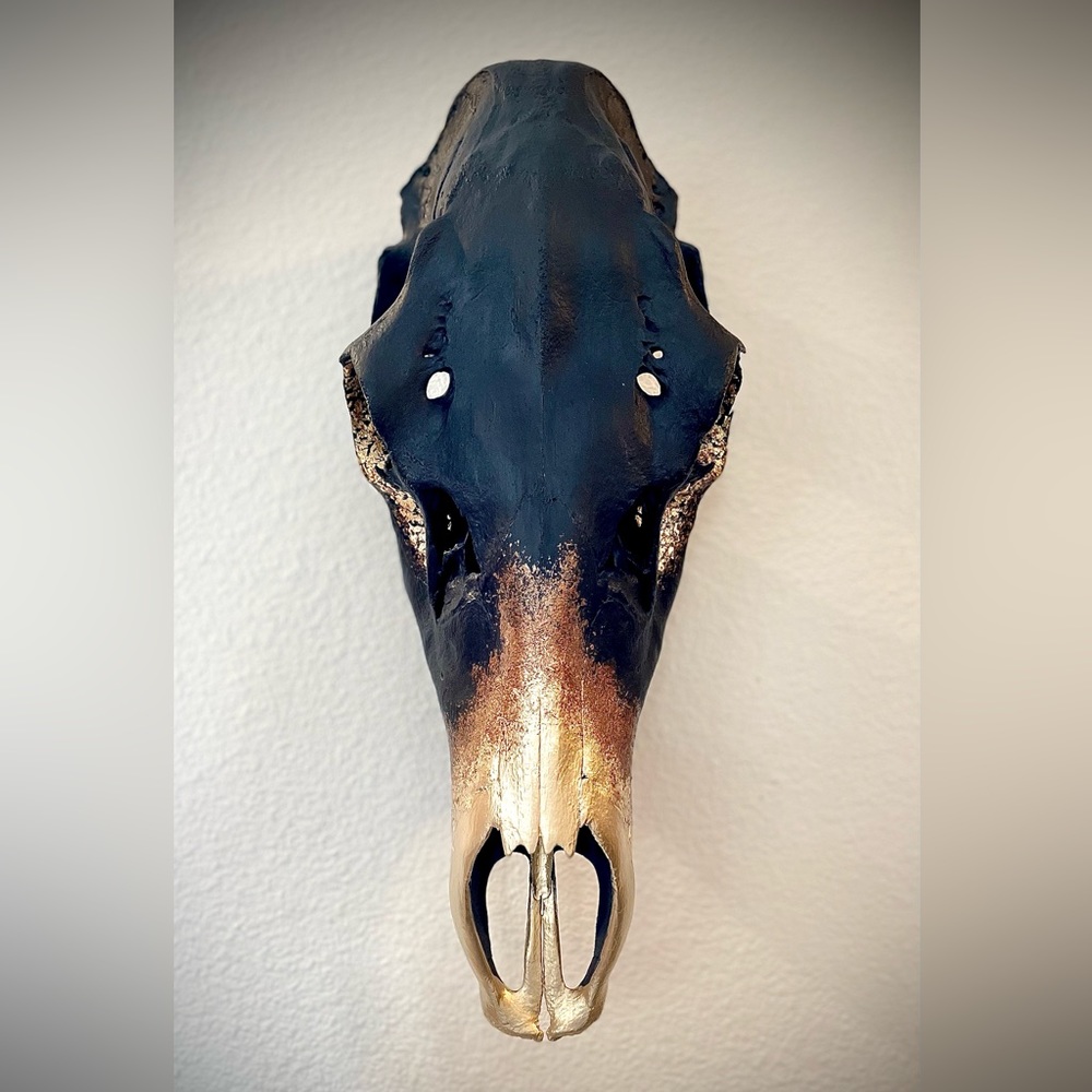 💀✨ hand painted cow elk skull - Picture 5 of 7